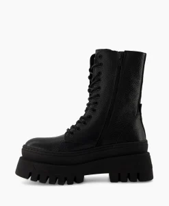 Steve Madden Enkellaars Coast Zwart*Dames Laarzen